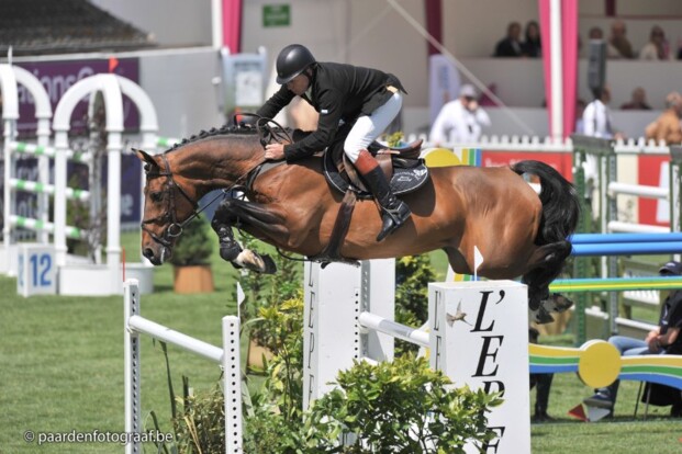 Everse & Waldman zetten Youhorse.auction op
