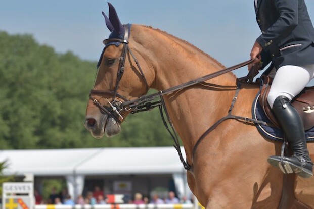 CSIYH1* Kronenberg: Wathelet wordt 3de! CSIYH1* Kronenberg: Wathelet wordt 3de!