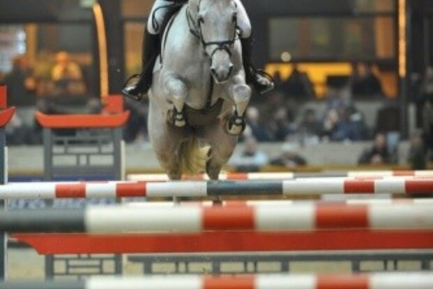 Belgen niet foutloos in CSI3* Lyon