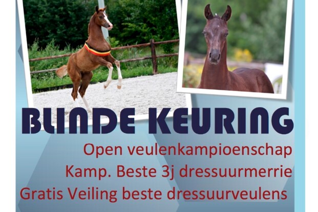 Open veulenkampioenschap Blind keuren 2015