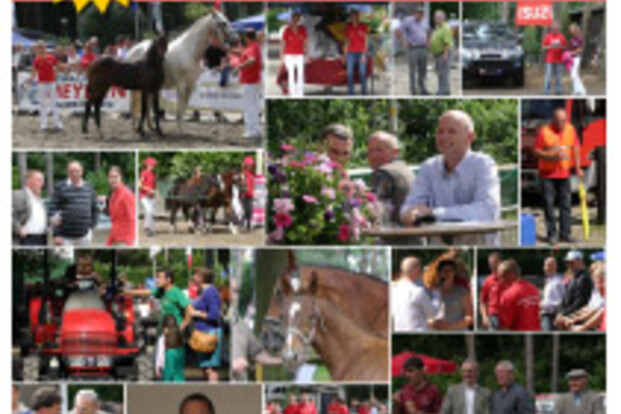 Onverwacht veel inschrijvingen op Antwerps Veulenkampioenschap!