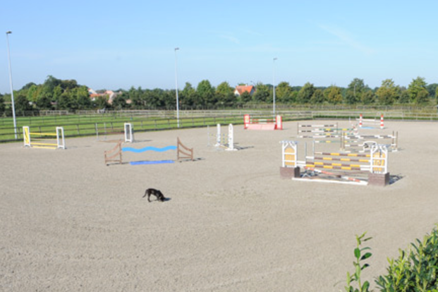Voltijdse job voor ruiter jonge paarden