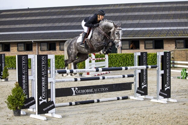 Nieuwe kopers slaan slag in herfstveiling Youhorse.auction