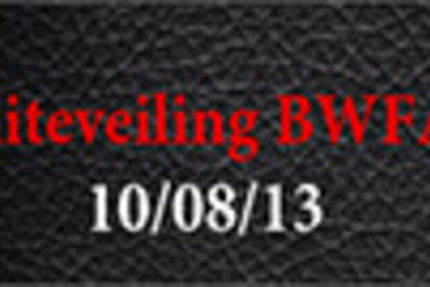 De selectie veulens BWFA 2013: topkwaliteit alom!