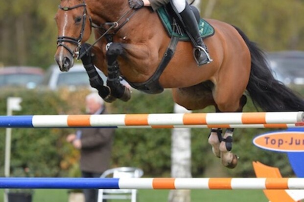 CSI3* Maastricht: Schoenmakers is het snelst CSI3* Maastricht: Schoenmakers is het snelst