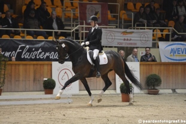 Selecties WK Jonge Paarden dressuur Verden Selecties WK Jonge Paarden dressuur Verden