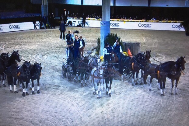 Glenn Geerts wint finale Jumping Luik