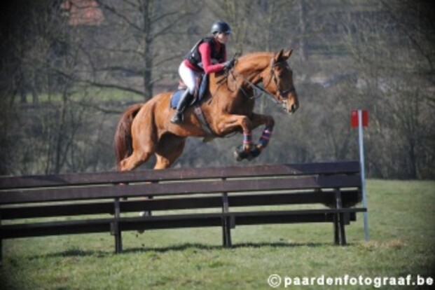 LRV-eventingteam derde na cross-country