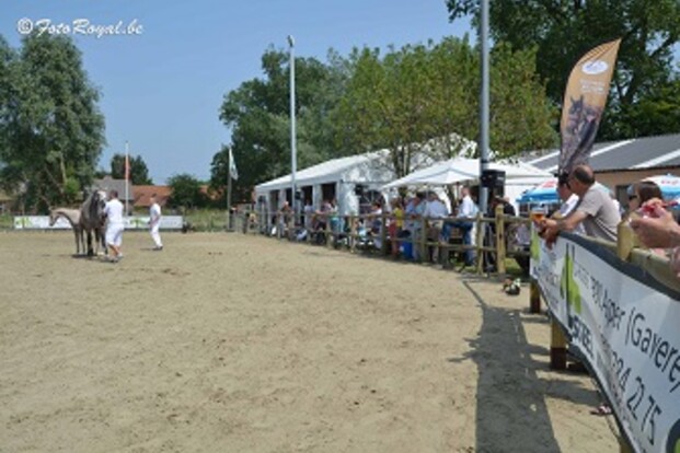 Succesvol prijskampweekend voor BWP-Oudenaarde