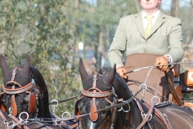 Beekbergen, dressuur vierspan paarden