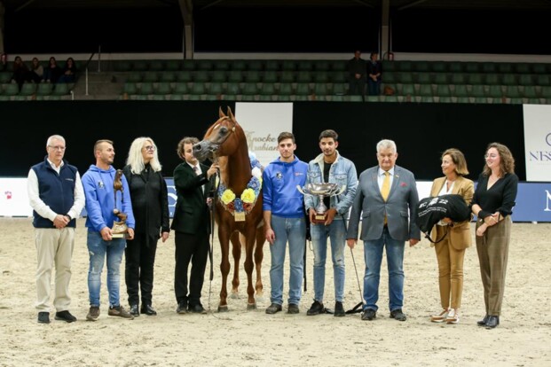 Hoogstaand EK voor Arabische volbloedpaarden