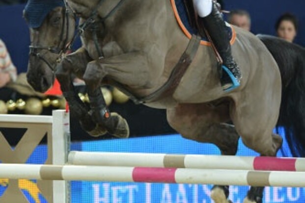 Olivier Philippaerts tweede in 1.50m Arezzo Olivier Philippaerts tweede in 1.50m Arezzo