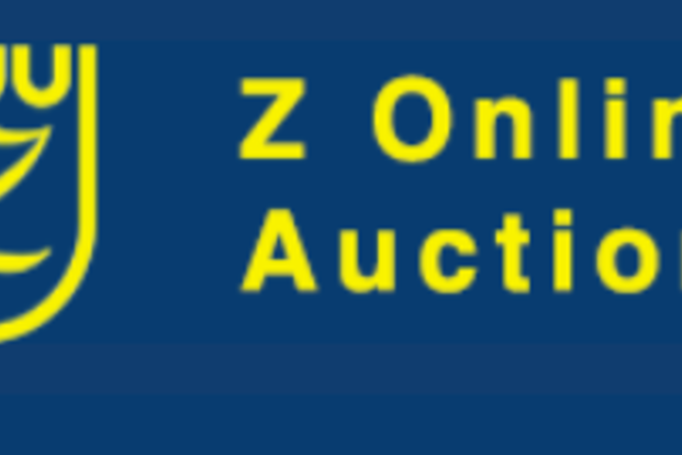 Z Online Auction op zoek naar jonge paarden