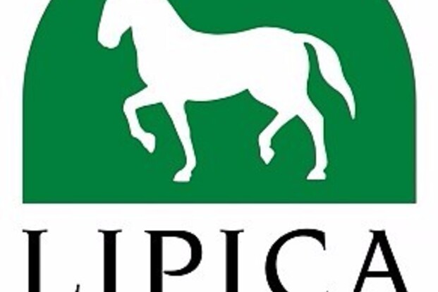 Lipica, startlijsten, tekeningen, uitslagen
