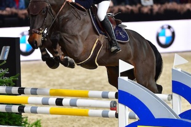 Wilm Vermeir scoort in hoofdrubriek van Doha