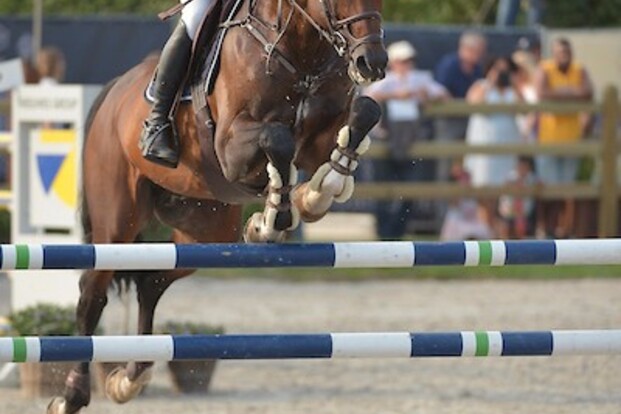 CSIYH1* Opglabbeek: Polleunis is de snelste! CSIYH1* Opglabbeek: Polleunis is de snelste!
