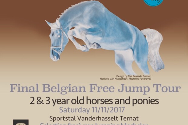 National Free Jump Contest 11 november