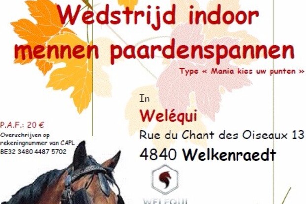 Welkenraedt Indoor - UPDATE- 12/11/2017 Welkenraedt Indoor - UPDATE- 12/11/2017