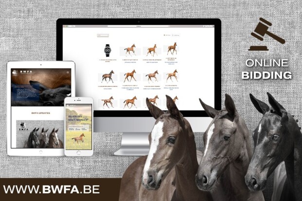 BWFA: koop online of via telefoon