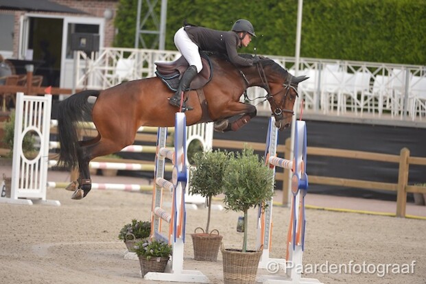 CSI2* Lier: Pieter Kenis wint! CSI2* Lier: Pieter Kenis wint!