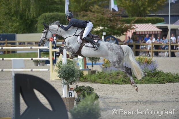 CSI2* Lier: Gilles Thomas in super vorm CSI2* Lier: Gilles Thomas in super vorm
