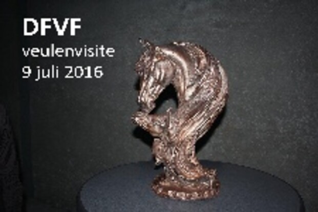 Uitnodiging Veulenvisite 9 juli 2016