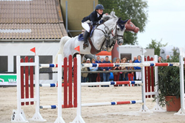 Picobellohorses op volle toeren: Kent Farrington koopt Chronos van Sappenleen