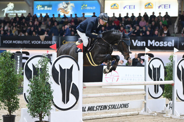 Thomas Mertens wint de STX-cyclus voor 6-jarige paarden in Gesves