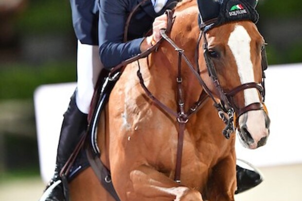 Niels Bruynseels derde in WB Bordeaux