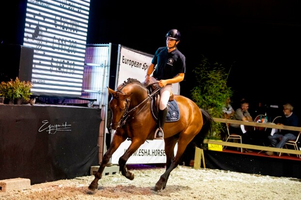 Elite-avond ESH Auction: topper €175.000