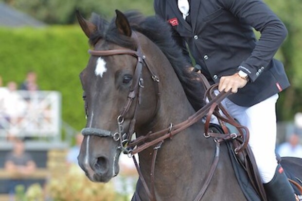 CSI2* Oliva: Van Paesschen net naast podium… CSI2* Oliva: Van Paesschen net naast podium…