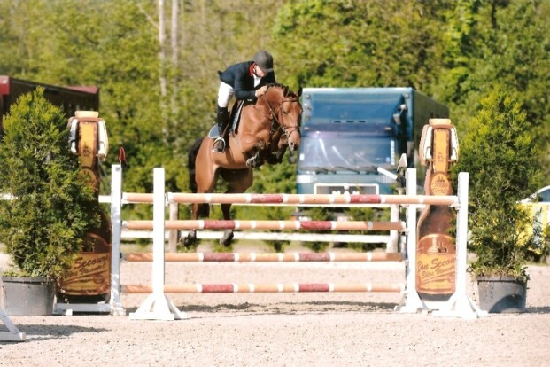 Elouise, Melody en Caramello Z goed op 1.50m