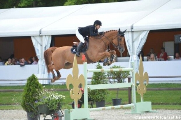 Baronez vd Abelendreef 3e in Million Dollar