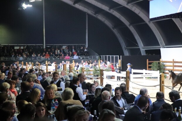 Meer dan € 1 miljoen op Z Quality Auction! Meer dan € 1 miljoen op Z Quality Auction!