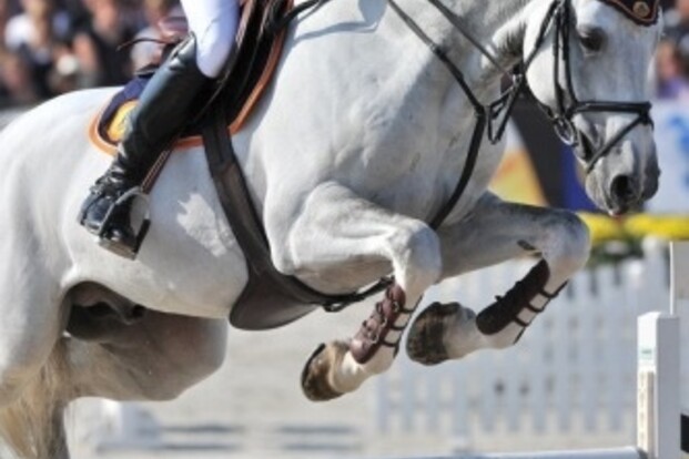 Sunshine Tour: Ludo vierde, Olivier vijfde