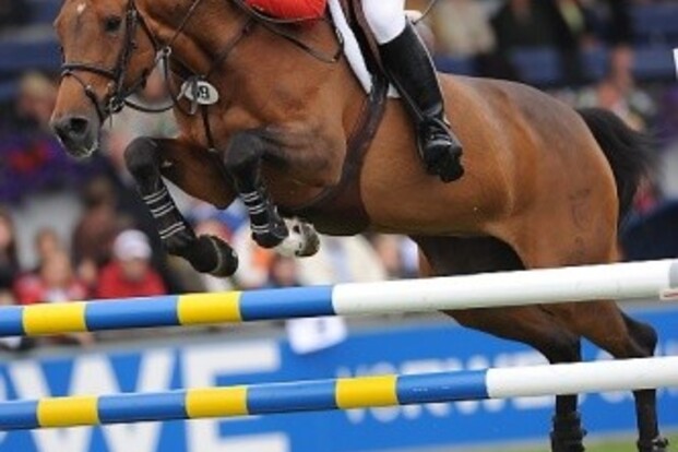 Mclain Ward wint tiende WEF Cup