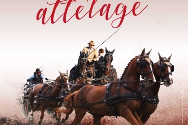 Lignieres, Championnat de France - 6-8/10