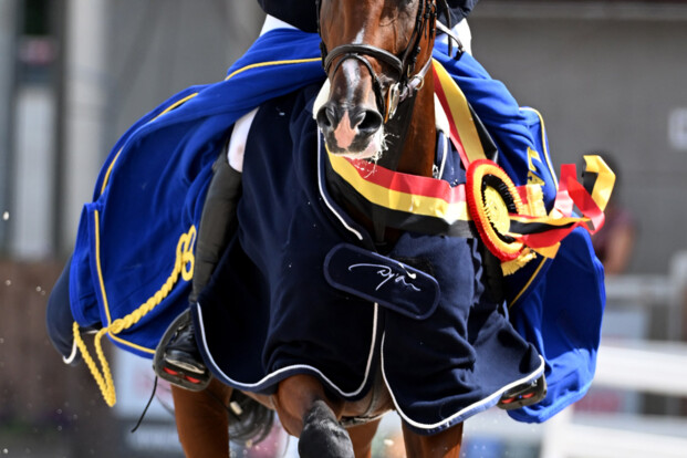 Nathan Budd en Ely des Rosiers Z Belgisch Kampioen 5-jarigen!