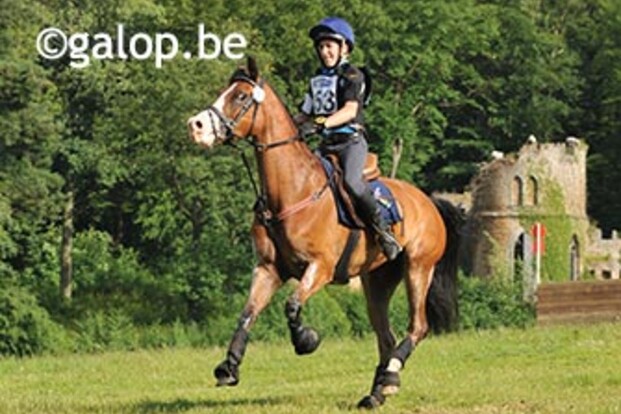 Selectie EK eventing pony"s