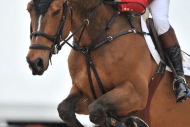 Belgen derde in Sopot