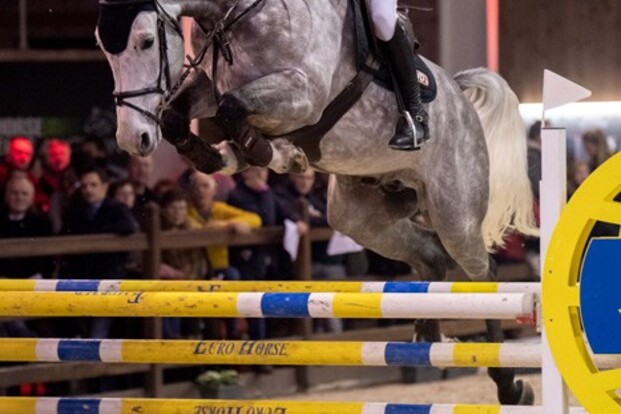 PHC Lier: De Winter en Omano Bc winnen 6j! PHC Lier: De Winter en Omano Bc winnen 6j!