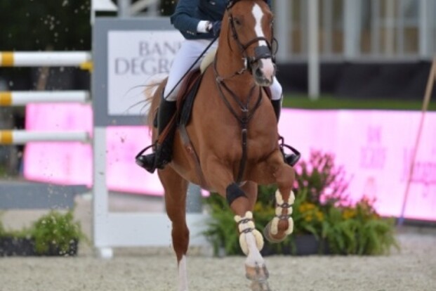 Beste paard & ruiter van moment aan de winst Beste paard & ruiter van moment aan de winst