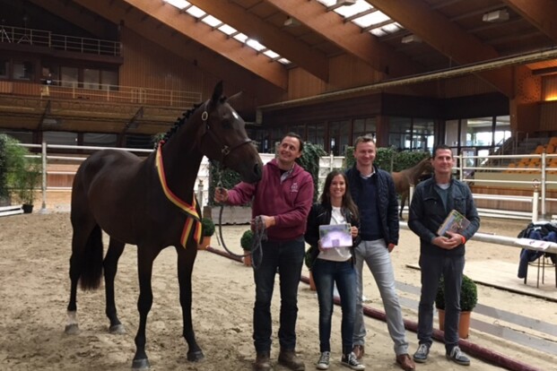 Scoop, Pop Star, Hadewyn winnen vrijspringen