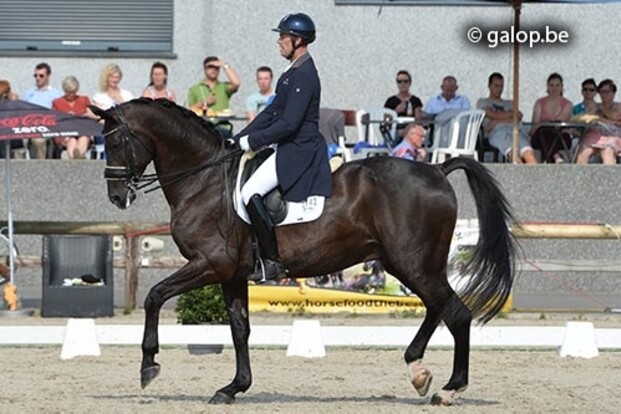 67,22% voor Mario in CDI4* in Treffen 67,22% voor Mario in CDI4* in Treffen