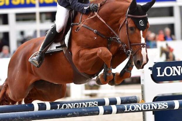 CSI2* Lier: 3 op 3 voor Gilles Thomas!