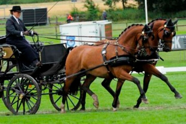 Vol deelnemersveld op Paardenspektakel Beekbergen
