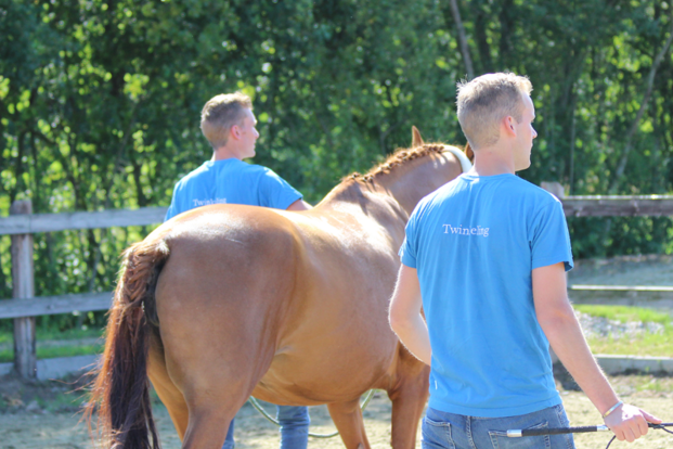 Last minute embryo op Auction Twinkeling