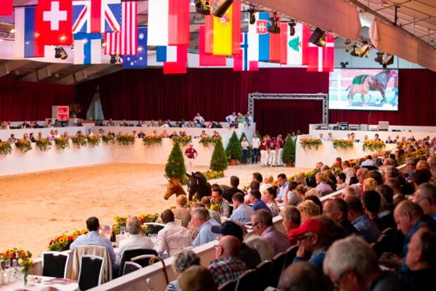 Philippaerts & Spronken kopen veilingtopper