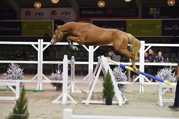 Requiem J&F Champblanc ook veilingtopper!