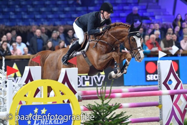 Smolders en Nixon winnen de 6j hengsten! Smolders en Nixon winnen de 6j hengsten!
